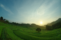 大山千枚田