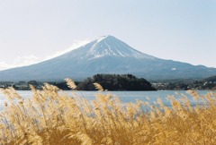 大石公園/河口湖/富士山/冬