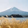 大石公園/河口湖/富士山/冬