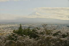 Mt.Fuji