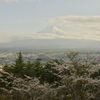 Mt.Fuji