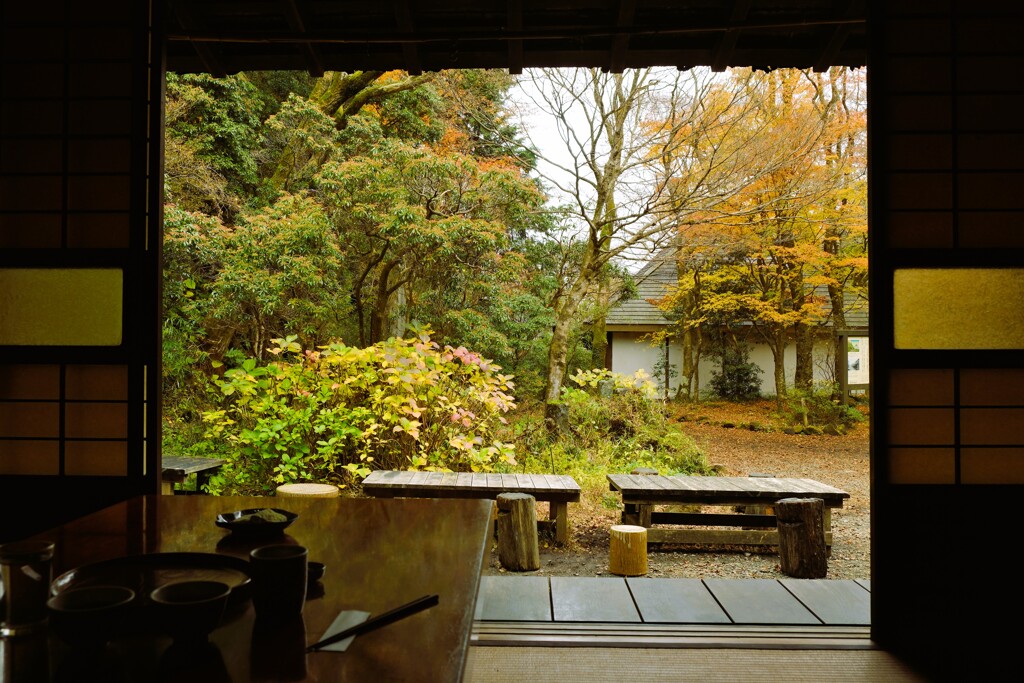 箱根甘酒茶屋の紅葉は終盤です