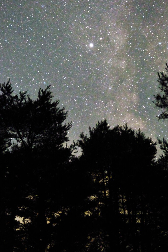 本栖湖キャンプ場・夏の夜空
