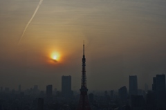 １日お疲れさま