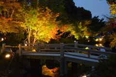 橋と紅葉