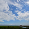 ある公園での空