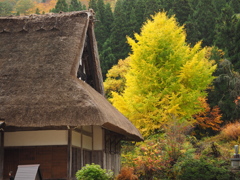 白川郷にて2014年11月02日に撮影a