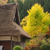 白川郷にて2014年11月02日に撮影a