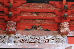 獅子駆ける