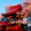 朱に染まる