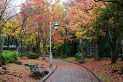秋色の散歩道