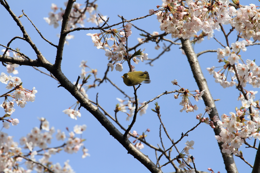 さてと…