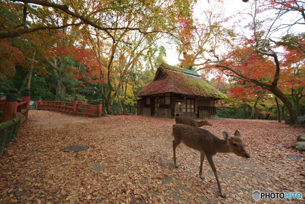 帰宅