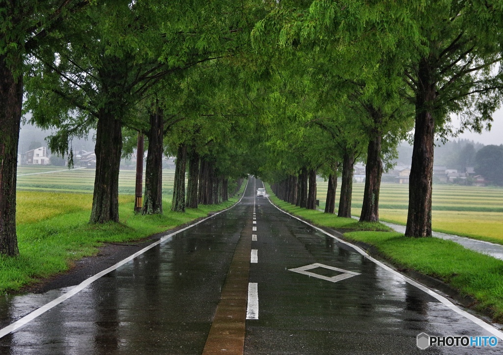 雨の旅路にて