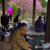梅見て足湯
