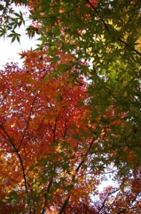 私も早く・・・