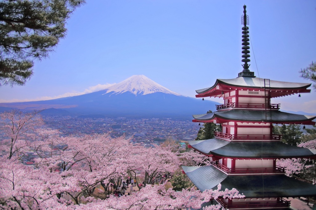 富士山×桜