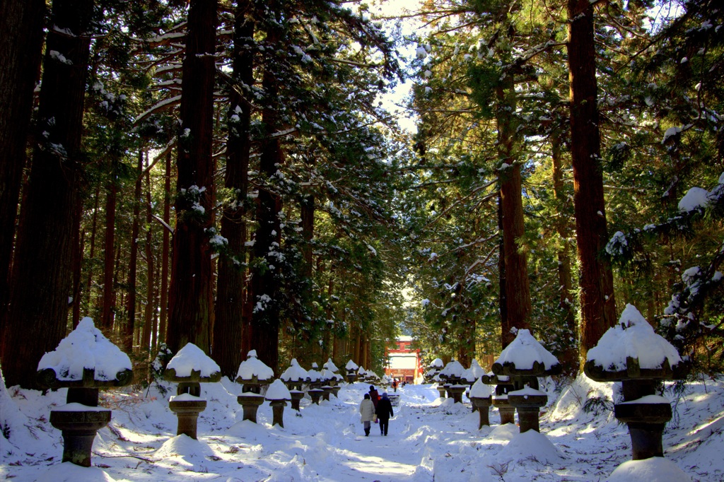 雪道