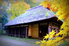 町田　薬師池公園　藁の家２