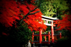 富士浅間神社