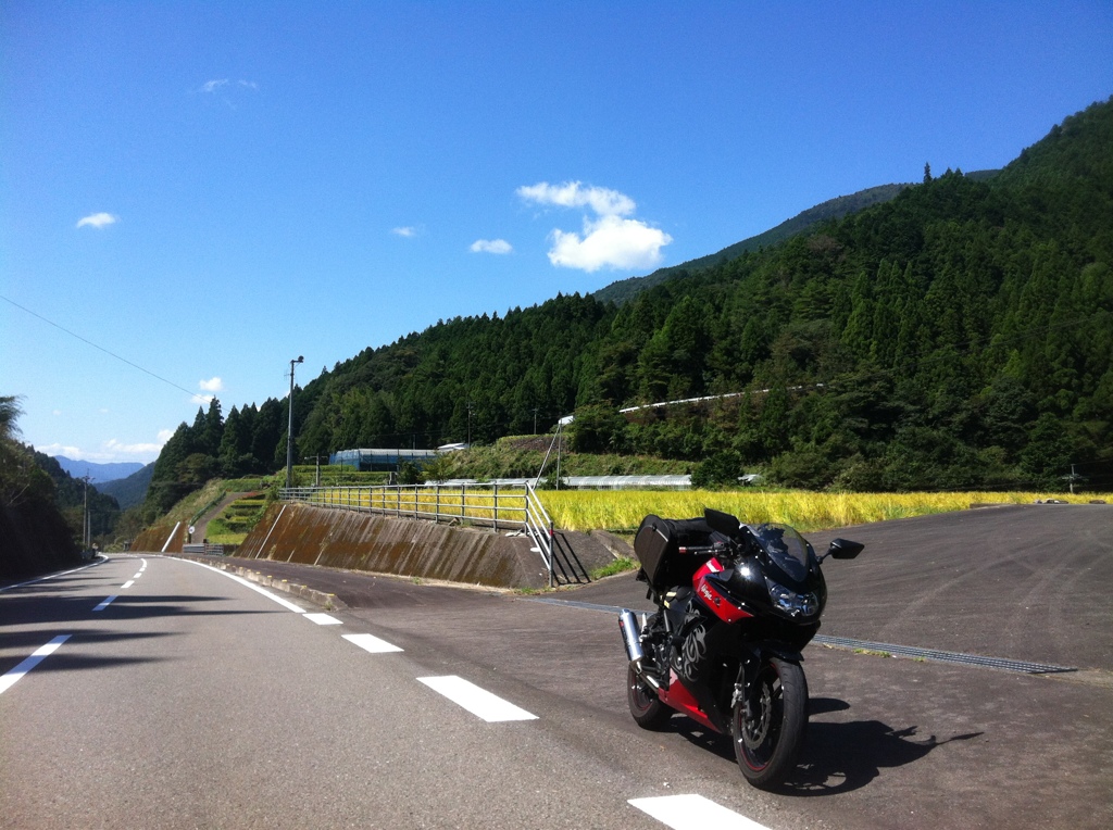 国道（酷道）439号線