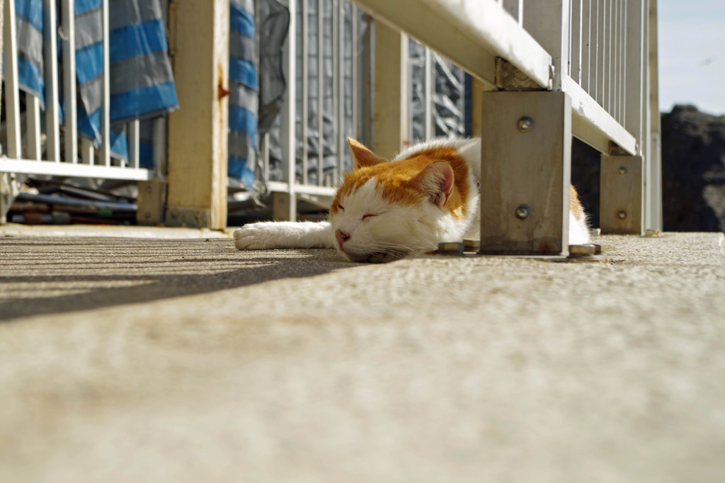 IMGP2470-2