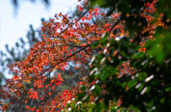 IMGP2872-2