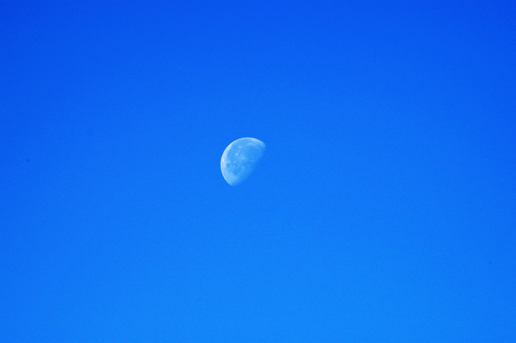 IMGP2317-2