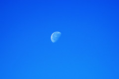 IMGP2317-2