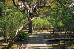 IMGP2425-2
