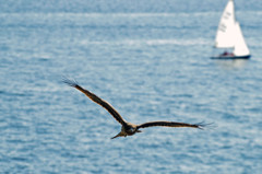 IMGP2463-2