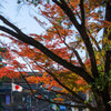 IMGP2886-2