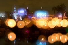 A Whole New World