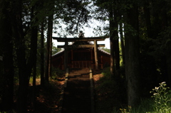 夕暮れ
