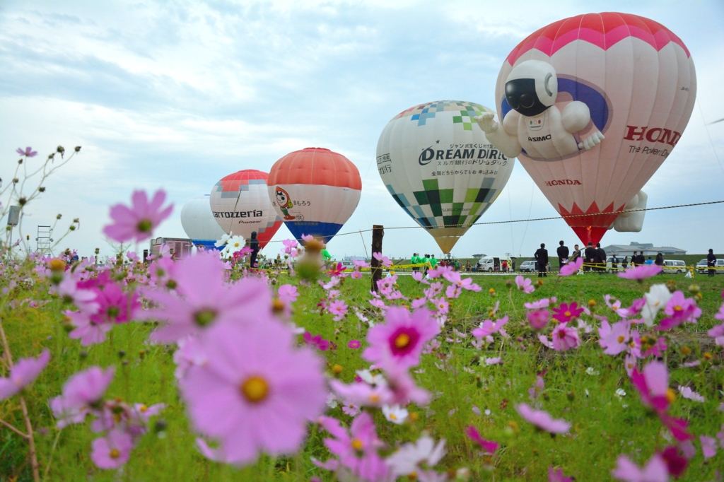 佐賀 バルーンフェスタ2014
