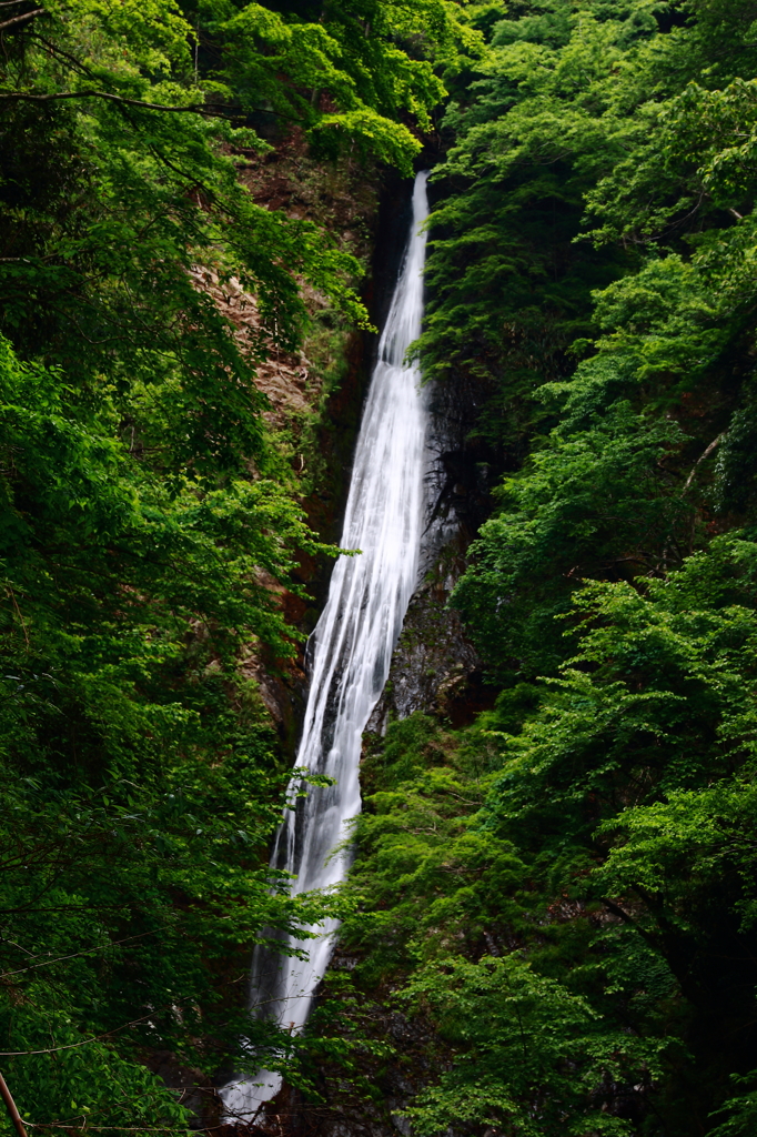 洒水の滝