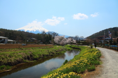 富士山へ