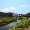 富士山へ