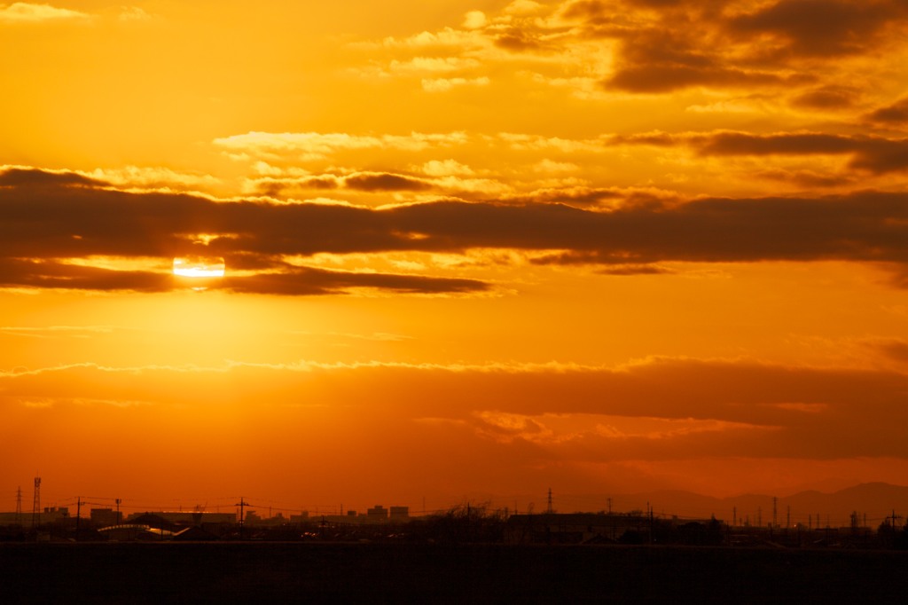 江戸川土手の夕日 172