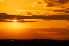 江戸川土手の夕日 172