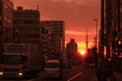 春日通の朝日 339