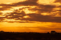 江戸川土手の夕日 167