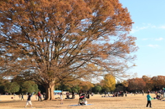 昭和記念公園 069