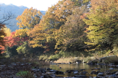 嵐山渓谷 085