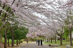 おゆみ野さくら公園