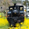 里山トロッコ列車