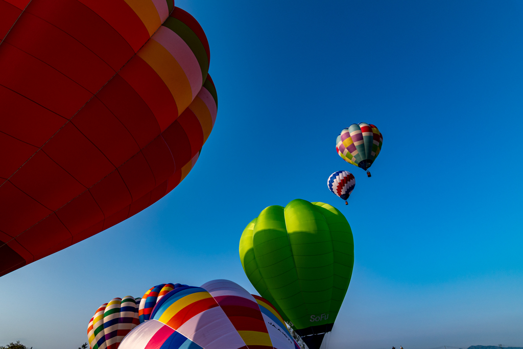 秋田スカイフェスタ