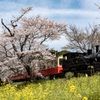 里山トロッコ列車
