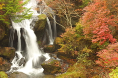 竜頭の滝の紅葉