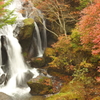 竜頭の滝の紅葉